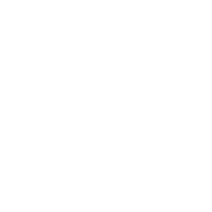 Private and Commercial Airport Pickups